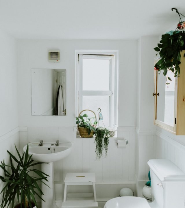 white ceramic pedestal sink